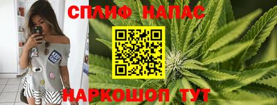 каннабис Камышлов